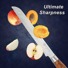 (D) Judaica Serrated Blade 8 Inch Bread Cutlery For Kitchen (Sandalwood Handle)