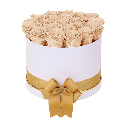 (D) Luxury Long Lasting Roses in a White Box, Preserved Flowers Empire L (Champagne)