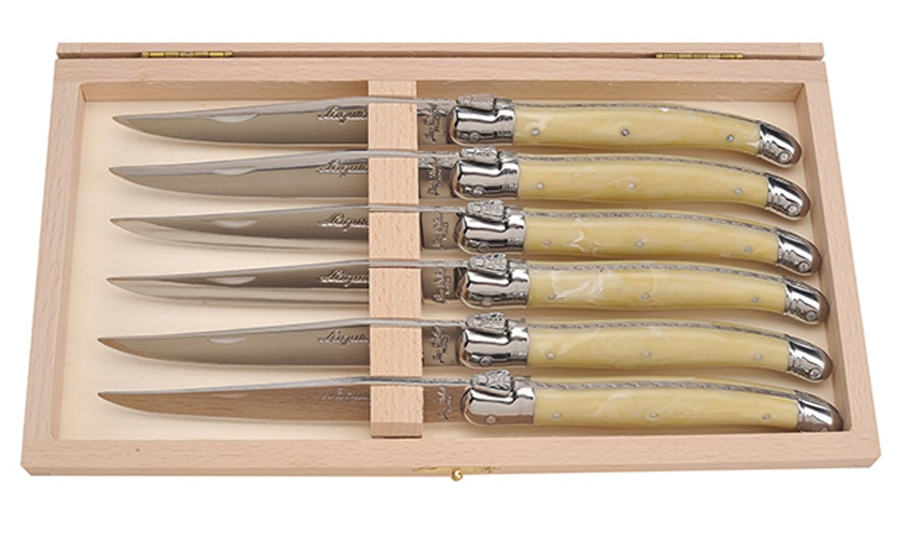 GIFTS PLAZA Steak Knives - 6 Piece, Stainless Steel Cutlery Set in a Tray - Rust Resistant and Ideal Addition to Home and Kitchen - For Everyday Use