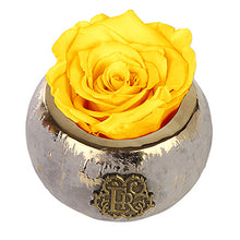 (D) Luxury Long Lasting Roses in a Box, Preserved Flowers Mini Tiffany 3'' (Yellow)