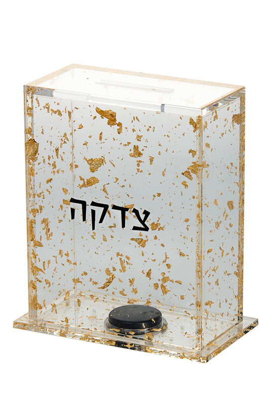(D) Judaica Tzedakah Charity Box Flakes Lucite For Donation (Gold)
