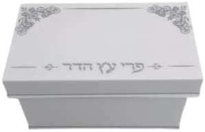 (D) Judaica Lucite Acrylic Esrog Box, Decorative Home Box 7"x 3.8"