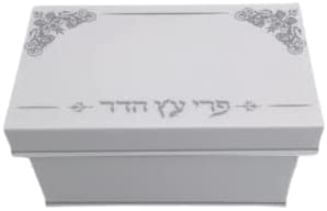 (D) Judaica Lucite Acrylic Esrog Box, Decorative Home Box 7