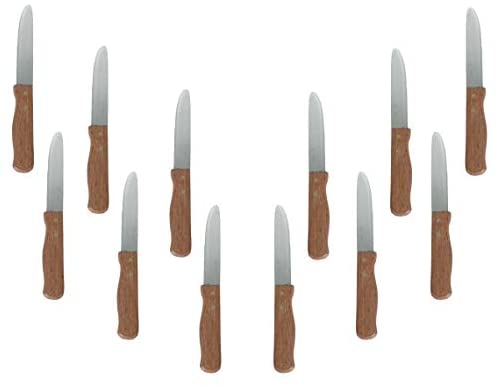 Stainless steel jumbo steak knife set with wood handles, 12-piece collection displayed in a flat lay arrangement