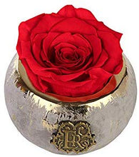 (D) Luxury Long Lasting Roses in a Box, Preserved Flowers Mini Tiffany 3'' (Scarlet)
