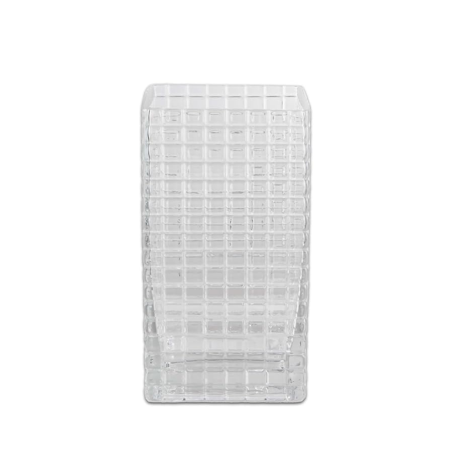 (D) Glass Vase for Pampas Grass Square Design