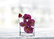 (D) Centerpiece 'Rivera' Pocket Flower Vase 7.75" H, Premium Crystal Glass