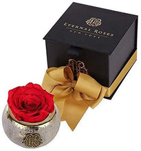(D) Luxury Long Lasting Roses in a Box, Preserved Flowers Mini Tiffany 3'' (Scarlet)