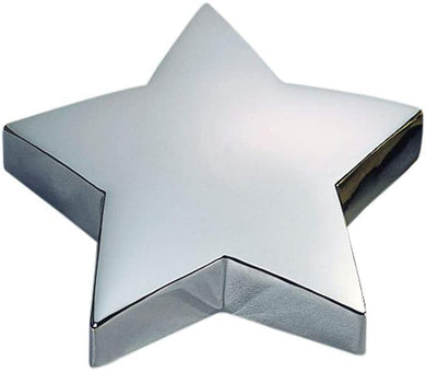 (D) Bright Paperweight In Brass Plate Star, Gifts for Office Colleagues (Silver)