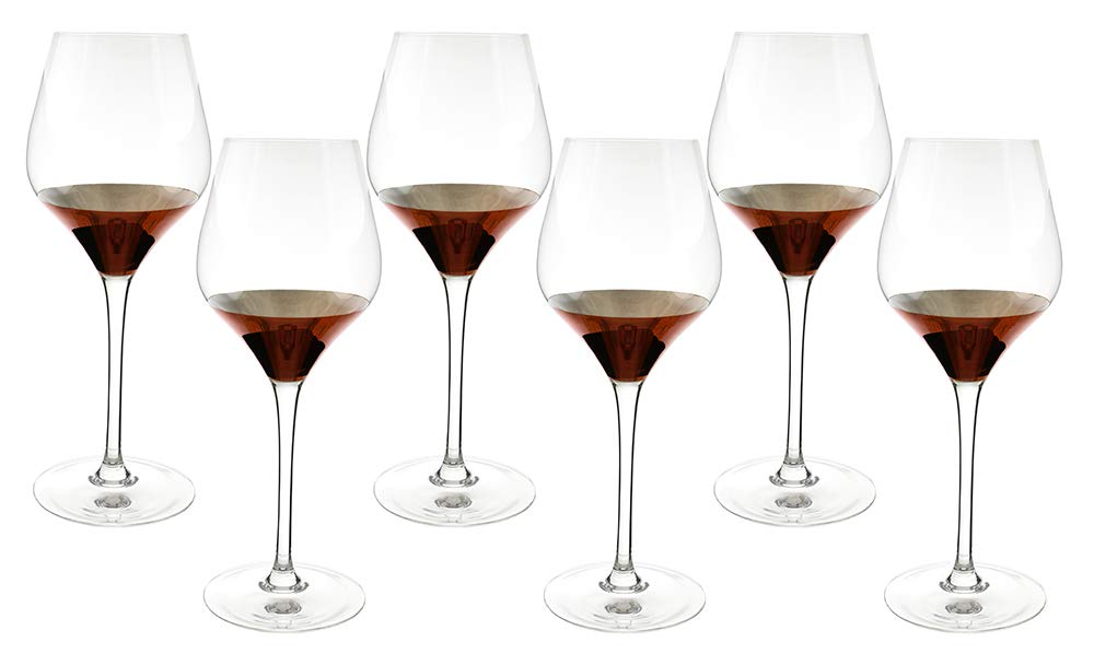 (D) Crystal Clear Wide Tulip Champagne Glasses 6pc, Classic Glassware