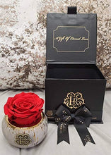 (D) Luxury Long Lasting Roses in a Box, Preserved Flowers Mini Tiffany 3'' (Gold)