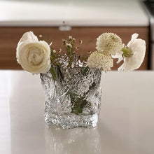 (D) Elegant Vase Decor Wide Vases for Flowers (Clear)