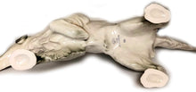 (D) Royalty Porcelain Lomonosov Animal Figurine Setter Spotted Dog 11 inches