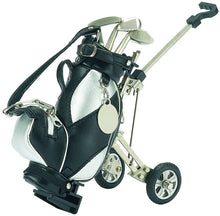 (D) Metal Golf Bag Style Pen Set and Holder, Gift for Golfers