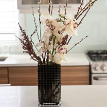 (D) Glass Vase for Pampas Grass Square Design (Black)