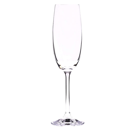 Bohemia Vineyard Champagne Glass (Set of 6)