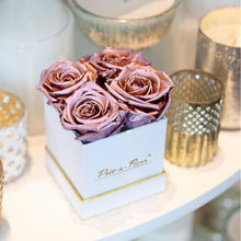 (D) Luxury Long Lasting Roses in a White Box, Preserved Flowers 4'' (Champagne)
