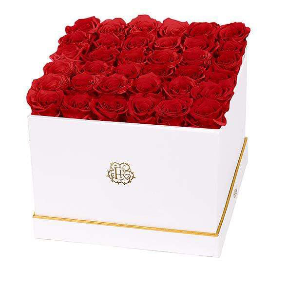 (D) Luxury Long Lasting Roses in a White Box, Preserved Flowers 10'' (Scarlet)
