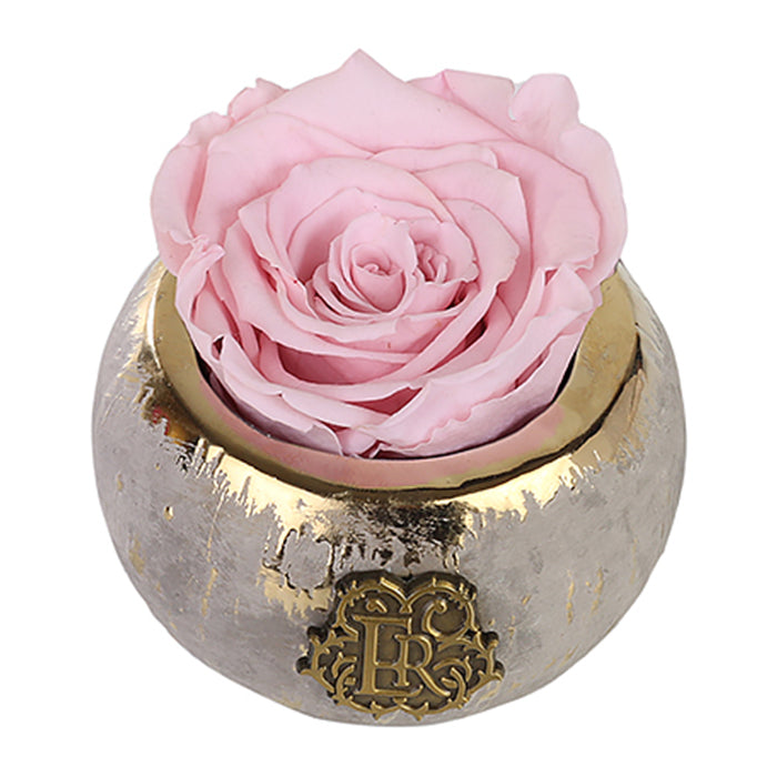 (D) Luxury Long Lasting Roses in a Box, Preserved Flowers Mini Tiffany 3'' (Blush)