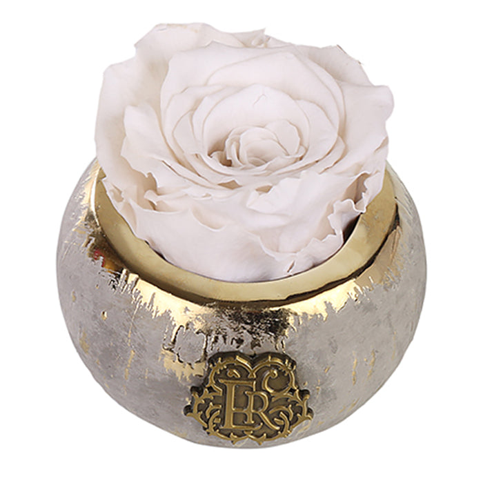 (D) Luxury Long Lasting Roses in a Box, Preserved Flowers Mini Tiffany 3'' (Pearl)