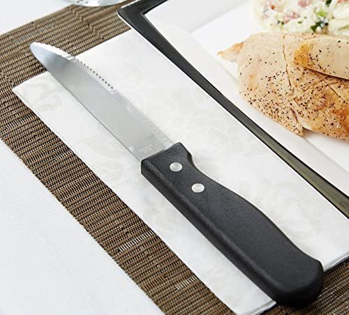 Stainless Steel 5" Blade Round Tip Jumbo Knife, Plastic Handle Steak Knives (6 PC)