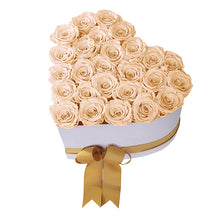 (D) Luxury Long Lasting Roses in a Box, Preserved Flowers 'Big Heart' (Champagne)