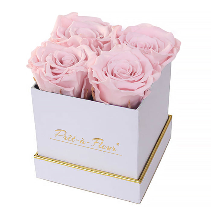 (D) Luxury Long Lasting Roses in a White Box, Preserved Flowers 4'' (Blush)