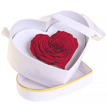 (D) Luxury Long Lasting Rose in a Box, Preserved Flowers 'Royal Heart' (Scarlet)