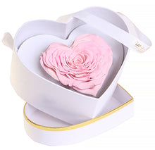 (D) Luxury Long Lasting Rose in a Box, Preserved Flowers 'Royal Heart' (Blush)