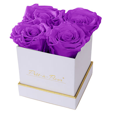 (D) Luxury Long Lasting Roses in a White Box, Preserved Flowers 4'' (Orchid)
