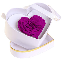 (D) Luxury Long Lasting Rose in a Box, Preserved Flowers 'Royal Heart' (Orchid)
