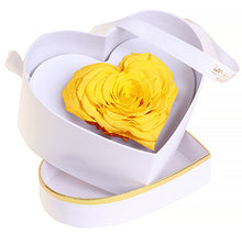 (D) Luxury Long Lasting Rose in a Box, Preserved Flowers 'Royal Heart' (Yellow)