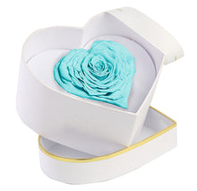 (D) Luxury Long Lasting Rose in a Box, Preserved Flowers 'Royal Heart' (Blue)