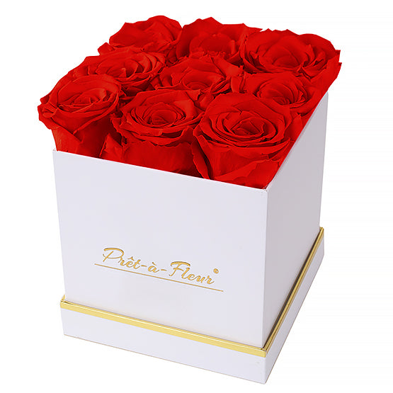 (D) Luxury Long Lasting Roses in a White Box, Preserved Flowers 5.5'' (Scarlet)