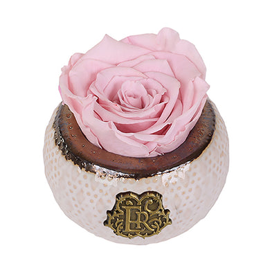 (D) Luxury Long Lasting Roses in a Box, Preserved Flowers Mini Soho 3'' (Blush)