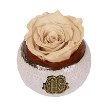 (D) Luxury Long Lasting Roses in a Box, Preserved Flowers Mini Soho (Champagne)