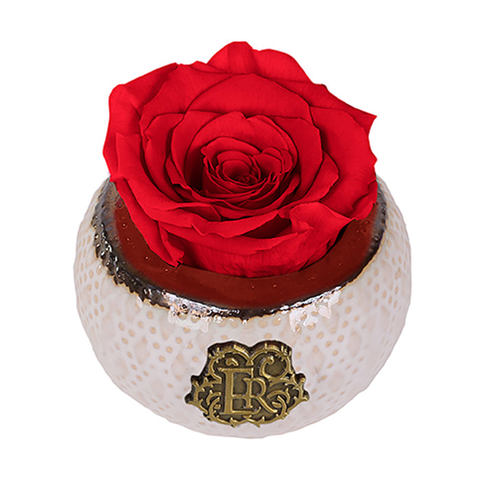 (D) Luxury Long Lasting Roses in a Box, Preserved Flowers Mini Soho 3 (Scarlet)