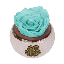 (D) Luxury Long Lasting Roses in a Box, Preserved Flowers Mini Soho 3'' (Blue)