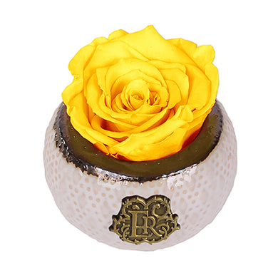 (D) Luxury Long Lasting Roses in a Box, Preserved Flowers Mini Soho 3'' (Yellow)